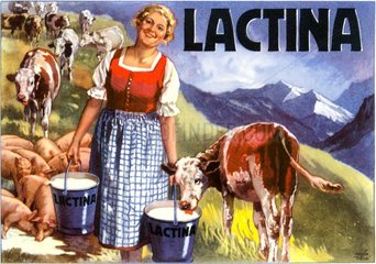 Schweizer Kuehe  Werbung fuer Milchersatz 1927