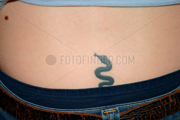 Schlangen tattoo