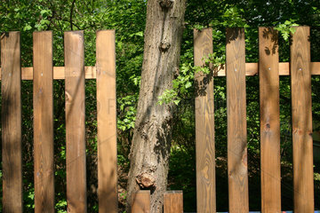 Holz Zaun mit Guckloch