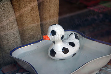 Ente und Fussball