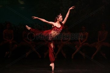 LA BAYADERE - Szenenfoto des Balletts
