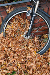 Herbstlaub und Rad