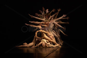 LE SACRE - Szenenfoto des Balletts