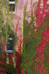 Fassade und Herbstfarben