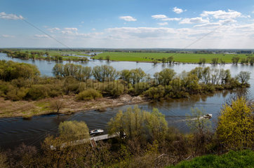 Elbe bei Boizenburg