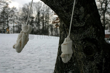 Kinderhandschuhe haengen an Baum im Winter.