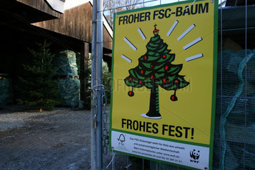FSC Weihnachtsbaum zu verkaufen in einer Foersterei.