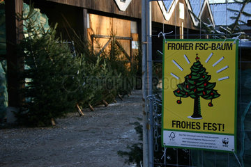 FSC Weihnachtsbaum zu verkaufen in einer Foersterei.