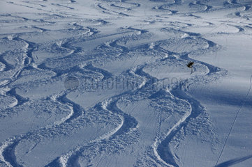 Skifahren abseits der Piste - gefaehrlich und (zer)-stoert Fauna und Flora.