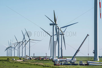 Windpark bei Niebuell