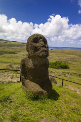 Moai Tukuturi