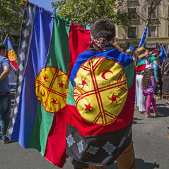 Flagge Mapuche