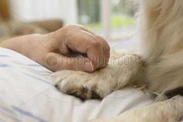 Altenpflege mit Tieren
