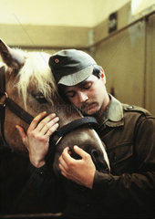 Soldat mit Haflinger Pferd