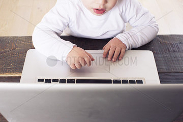Little boy using laptop computer  cropped