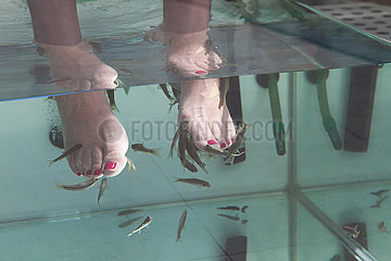 Tourist with doctor fishes - Playa Blanca  Lanzarote