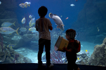 Aquarium Plymouth England