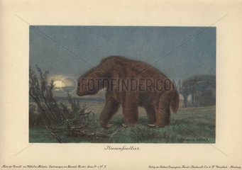 Megatherium or Riesenfaultier