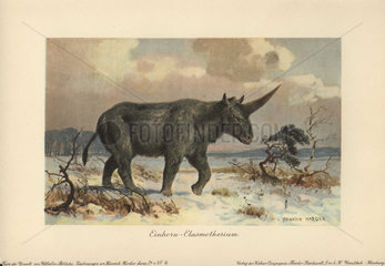 Elasmotherium