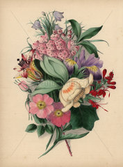 Bouquet of wild flowers by Clarissa Badger