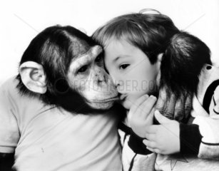 Schimpanse kuesst Jung