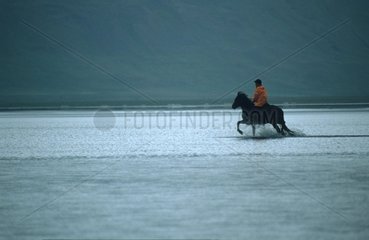 Reiter und Pferd galoppieren durch Fluss