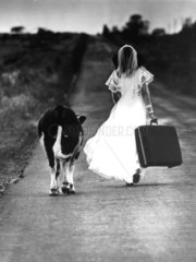 Braut mit Kuh und Koffer