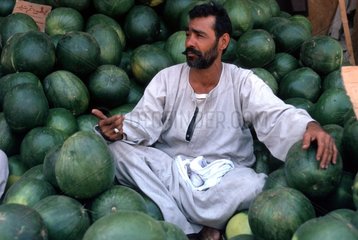 Mann sitzt zwischen Melonen