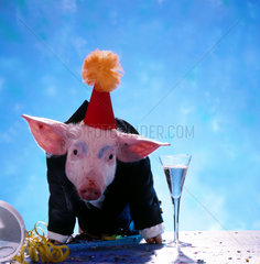 Schwein mit Anzug und Hut auf Tisch