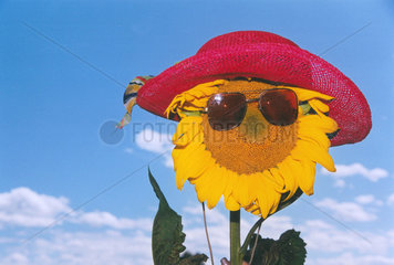 Sonnenblume Hut Sonnenbrille