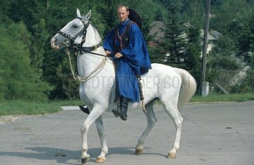 Mann reitet auf Lippizaner Pferd