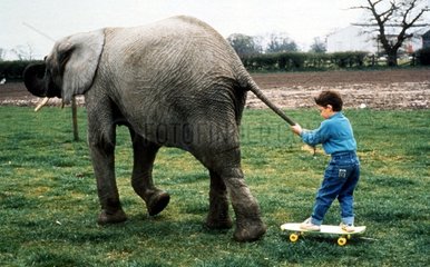 Elefant zieht Kind