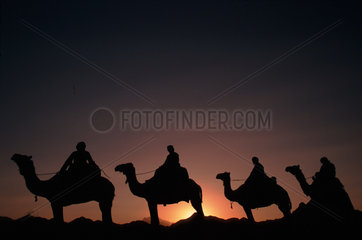 Kamelkarawane bei Sonnenuntergang  Aegypten