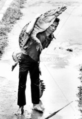 Mann traegt Krokodil auf Schulter
