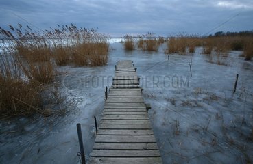 Winterlandschaft - Steg an eingefrorenem See