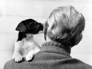 Hund kuesst Mann ins Ohr