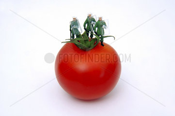 Polizisten auf Tomate