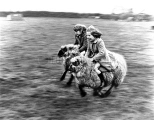 Kinder reiten auf Schafen