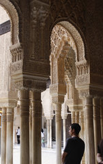 La Alhambra. Loewenhof