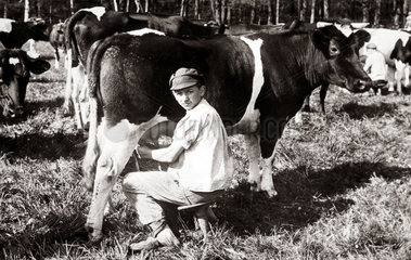 Mann beim melken einer Kuh