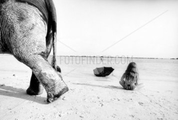 Elefant mit Maedchen Strand