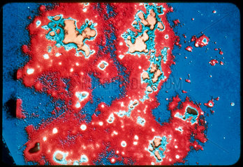 Photograph of one of the Magellanic Clouds  1972.