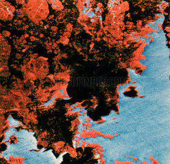 Seasat image of sea ice  1978.