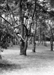 Maenner Frauen Klettern Baum