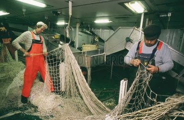 Arbeiten an Bord eines deutschen Fischtrawlers im Atlantik - Flicken der an Korallen zerrissenen Netze unter Deck