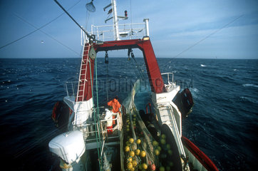 Fischfang in EU-Gewaessern