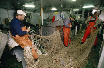 Arbeiten an Bord eines deutschen Fischtrawlers im Atlantik - Flicken der an Korallen zerrissenen Netze unter Deck