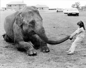 Maedchen spielt mit Elefant