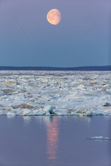 Full Moon and Melting Sea Ice - Hudson Bay Canada