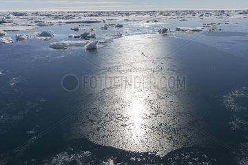 Sea Ice crystals : Frazil ice  Wrangel Island  Chukotka  Russia